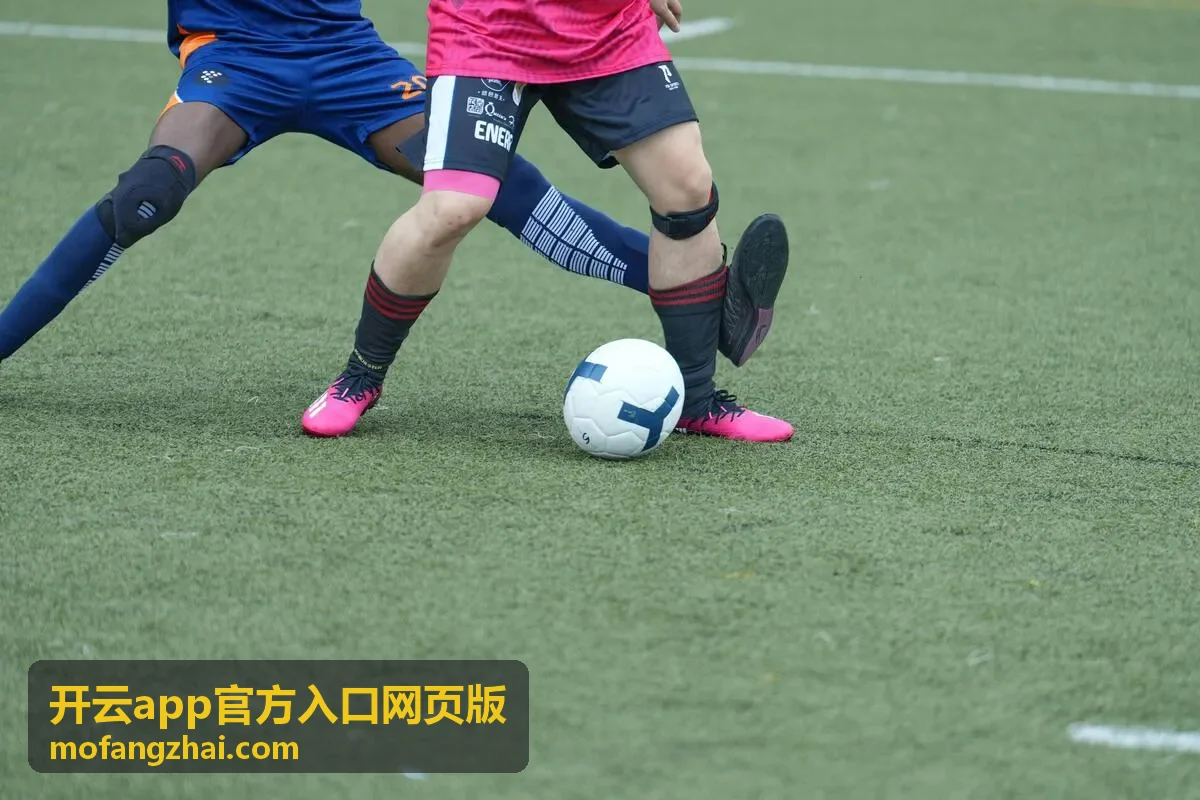 开云app官方入口网页版入口与登录指引主视觉